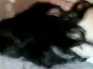 Perrita