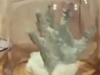 vintage 70s german - Vor Geilheit kochen -- cc79