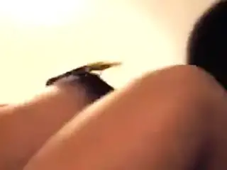 Hot Black Couple
