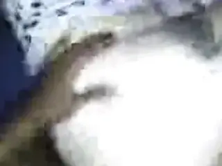 smashing my curvy white gal 2