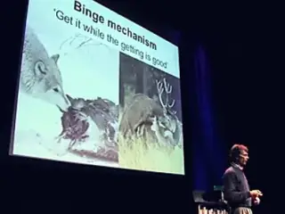 great porn experiment