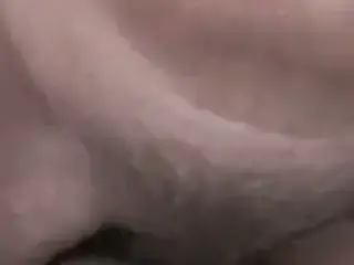 Amateurs cochons