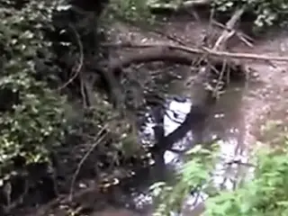 Femdom Strapon Fucking In Forest.