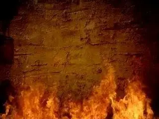 Wife bitch in action.