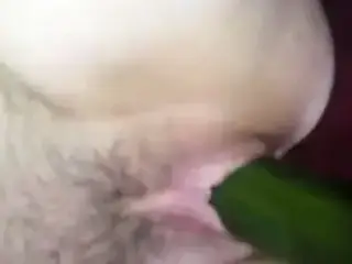 Cucumber fun. 2.
