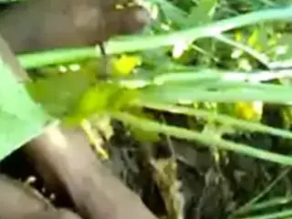 COUPLE IN FOREST