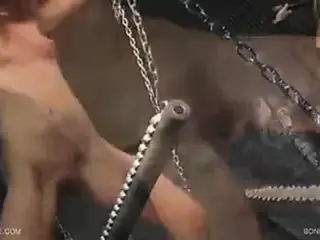 Queensnake.com - Bonfire Tanita 2