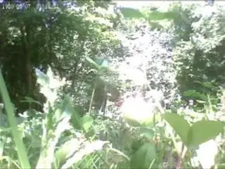 couple naked in forest