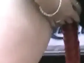 Charlee trailer hitch 1