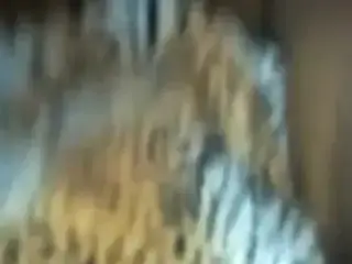 bbw sloppy head