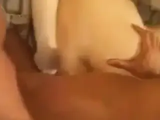 Pregnant