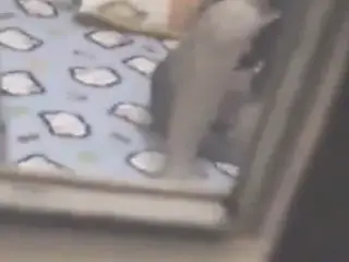 My Friend Get Caught
