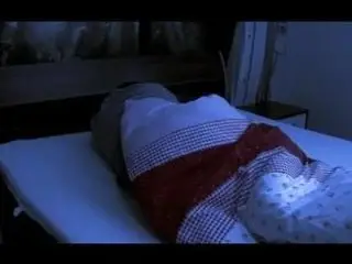 Die Bullen vom Fuschlsee