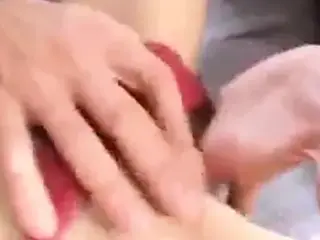 Ungarian Redhead DP