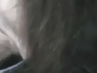 Amateur suck with glasses