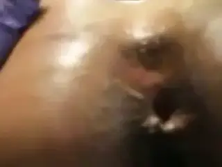 Anal Probe