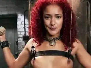 Daisy Ducati teaser 1