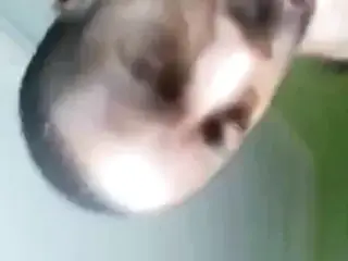 Thickjames66 vs. BBW