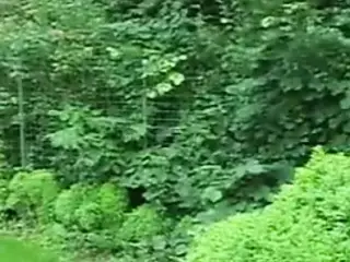 A bunch of outdoor milfs