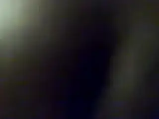 PETITE LEVRETTE