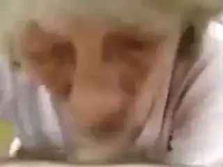 Wife granny gives delicious sucks to husband