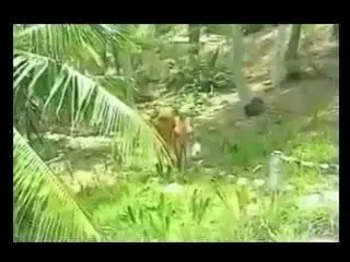Sex for Giant Tits Babe on Beach BVR