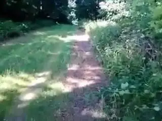 Fuckin Whores Wherever