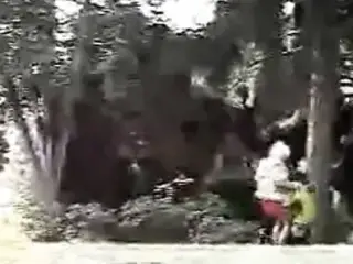 German whore fucked in the woods