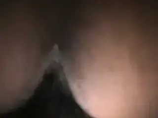 gorda de a perrito