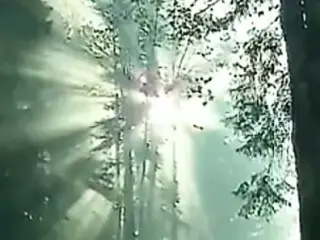 HerzogVideos Heidi lasst sie alle jodeln Teil 6