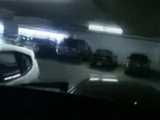 Karanje na parkingu Serbian