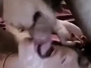 mother And not her daughter Sucking Big Cock