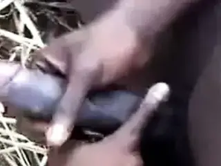 interracial farming