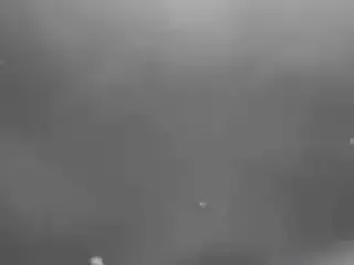 Three Lesbians on a swing