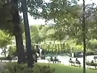 Una foresta