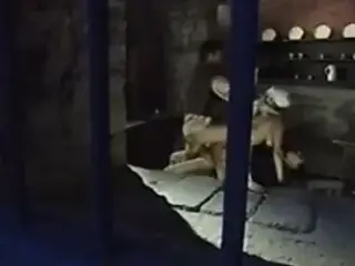 Dalila Hot Threesome