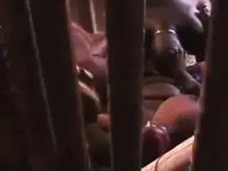Black BBW and BBC