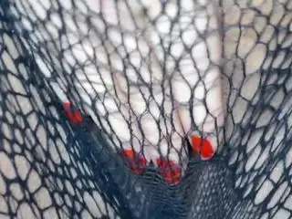 Masturbation erotique