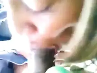 bitch sucking dick