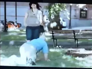 stooges humiliated in public