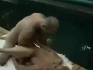 Pool Side Sex