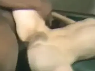 Big Man Ray(pick#1160)