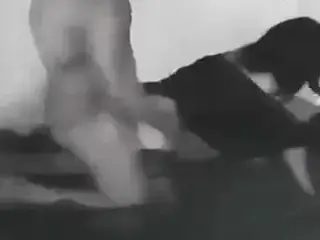 levrette tournee en noir et blanc