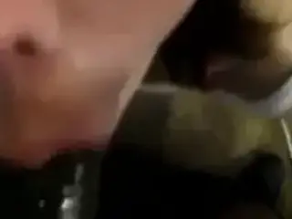 What's a month without a visit from my white tenants