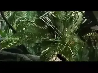 Predator - Anna gets Predator Cock