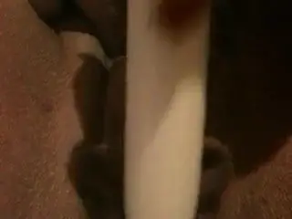 2013 Squirt from a friend