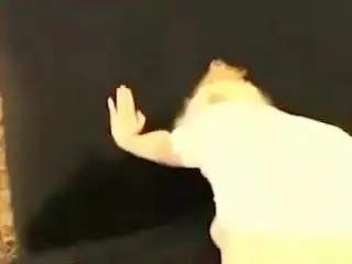 Anal Jungfrau