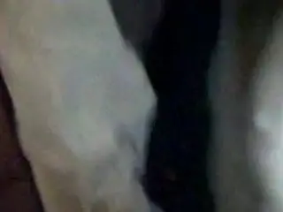 My GF gettin stuffed