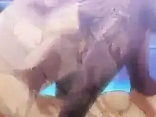 Bounce Bunny Bounce Hmv