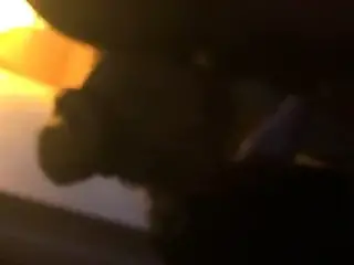 Blowjob & swallow from hooker